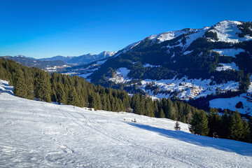 Fototapeta na wymiar Ski region of Kleinwalsertal, Austria
