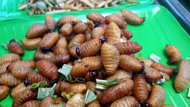 Larva palm worm weevil deep fried fat insect snack sell in Southeast Asia market exotic weird food
