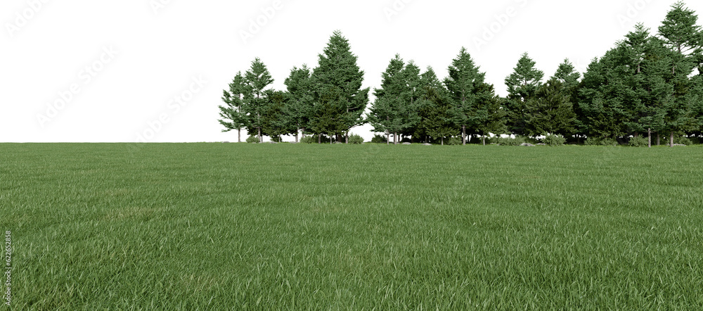 Fototapete realistic meadow and forest tree line. 3d rendering of isolated objects.