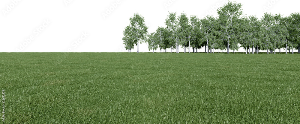 Fototapete realistic meadow and forest tree line. 3d rendering of isolated objects.