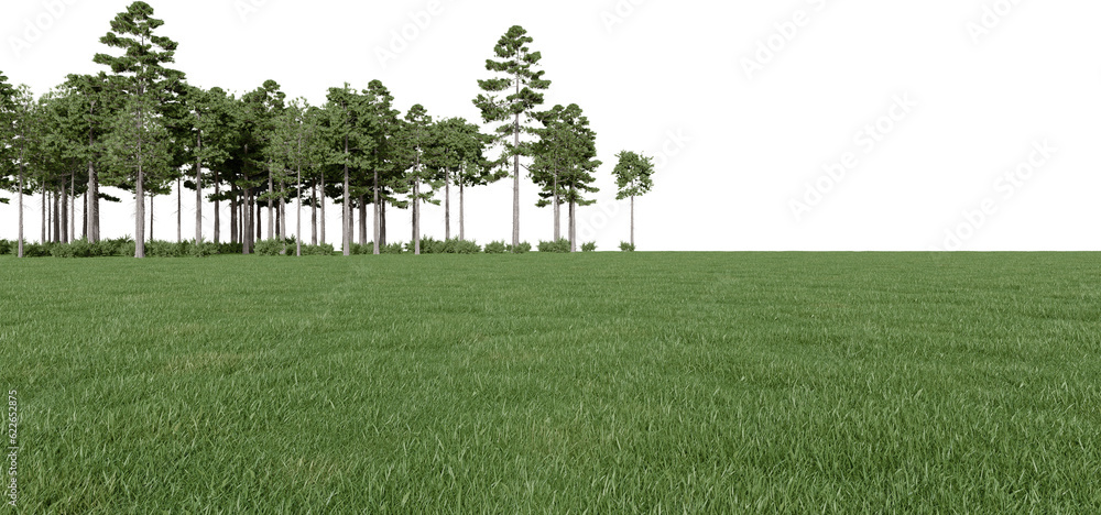 Fototapete realistic meadow and forest tree line. 3d rendering of isolated objects.