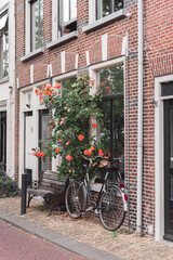 Fototapeta na wymiar bicycle leaning against the brick wall of a house with a rose bush