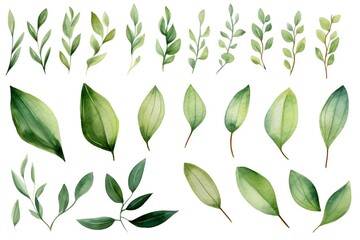 Elegant Eucalyptus Watercolor Collection of Botanical Leaves. Generative AI