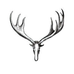 antler moose horn ai generated