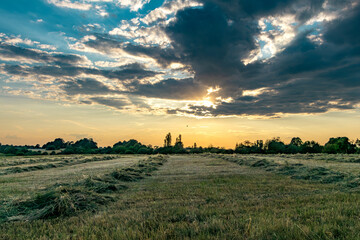 Beginning blue hour in the country