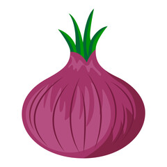 Onion vector. Red onion isolated on a white background.