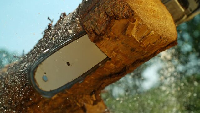 Super Slow Motion of a Chainsaw Cutting the Wooden Log. Filmed on High Speed Cinema Camera, 1000 fps.