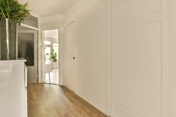a room with white walls and wood flooring on the wall, there is a large plant in the center of the room