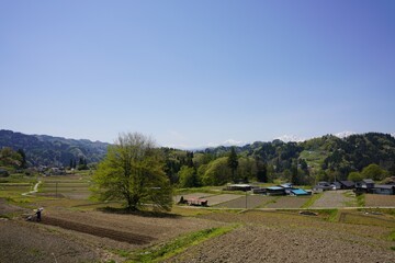 Fototapeta na wymiar 春の小川村の風景