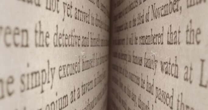 A Journey Deep Into the Pages of a Book