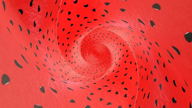 Inside a Watermelon Fruit Animation, Background, Loop
