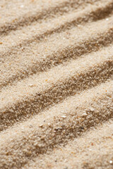 The texture of the sand about the footprints