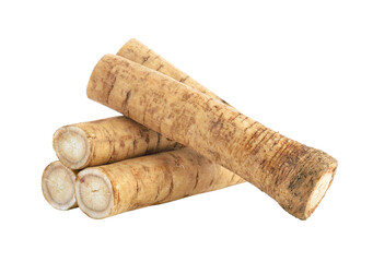 Fresh Burdock roots on transparent png