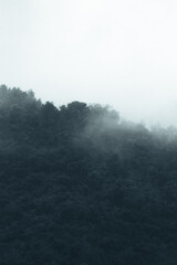 Top of a foggy mountain scene on rainy day from puerto rico 
