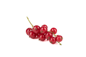 Beautiful twig with ripe red currant berries isolated on white background.