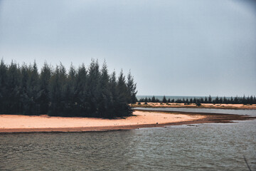 a lake with lots of trees on the surface