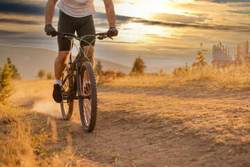 Professional mountain bike cyclist riding enduro forest trail.