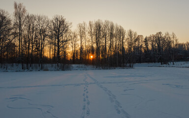 The sun at sunset in the park shines through the trees. Landscape of the park at sunset