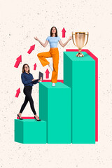 Creative poster banner collage of business lady life career rest balance harmony follow direct for...