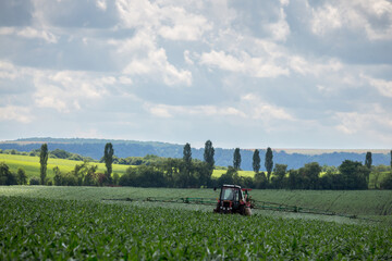 A farm tractor with a trailed sprayer processes a field sown with corn with plant protection...