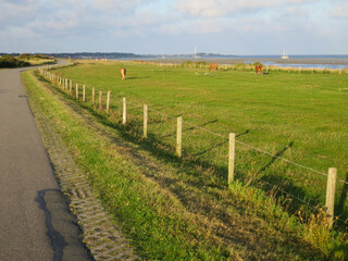 Landschap op Vlieland, Landscape at Vlieland
