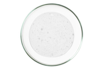 Petri dish isolated on empty background. A smear of a transparent gel, serum in a Petri dish.
