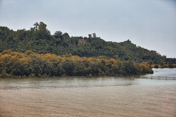 a mountain with trees and grasses by the ocean