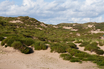 Fototapeta na wymiar Landscape at the Noordduinen