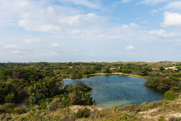 Landscape at Meijendel