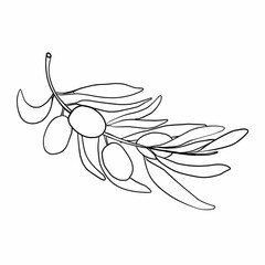 Olive Branch in Linear Style