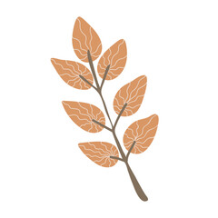 Obraz premium Simple Autumn Twig with leaves. Hand drawn element for autumn decorative design, halloween invitation, harvest or thanksgiving. Vector illustration