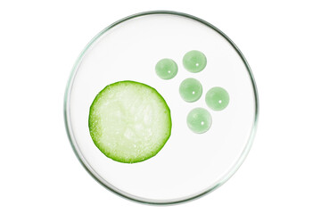 Petri dish isolated on empty background. Cucumber slices and drops of cream in a Petri dish.
