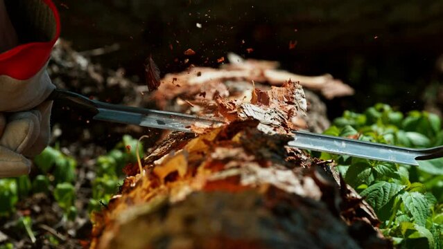 Super Slow Motion of a Planer Planing Bark from a Tree. Filmed on High Speed Cinema Camera, 1000 fps.