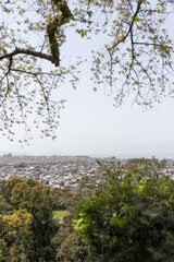 Japanese city view from mountain, trees and building in Japan