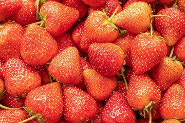 Fresh organic red strawberry fruit background