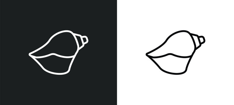 conch shell outline icon in white and black colors. conch shell flat vector icon from religion collection for web, mobile apps and ui.