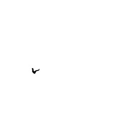 Floor Gymnastic Woman Silhouette