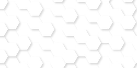 Background with white and black lines 3d Hexagonal structure futuristic white background and Embossed Hexagon , honeycomb white Background ,light and shadow ,Vector.