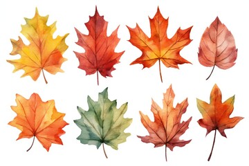 Fototapeta premium Watercolor Fall Decor Clip art on white background Generative AI 