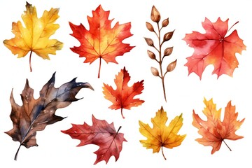 Fototapeta premium Watercolor Fall Decor Clip art on white background Generative AI 