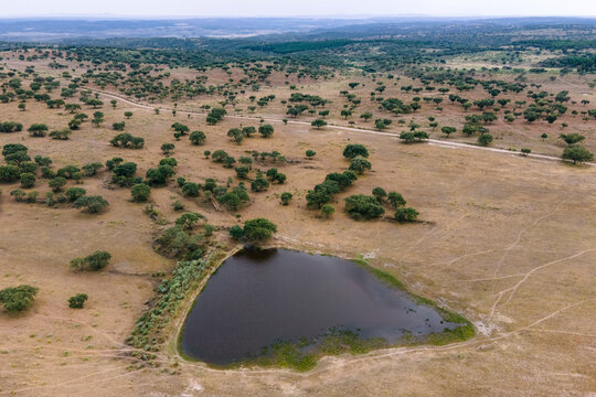 Aerial view of a pond in countryside along the Spanish and Portuguese border, Zebreira, Castel Branco, Portugal.