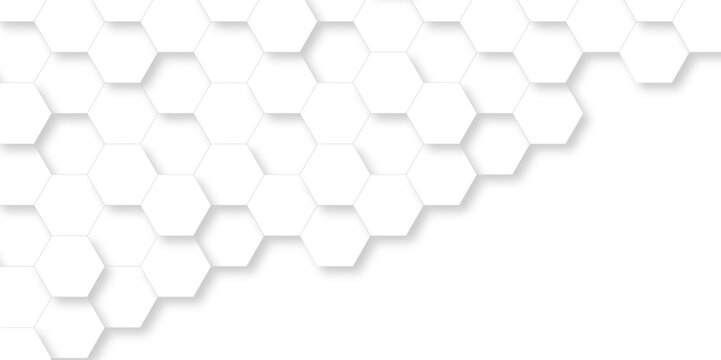 Background with white and black lines 3d Hexagonal structure futuristic white background and Embossed Hexagon , honeycomb white Background ,light and shadow ,Vector. © MdLothfor