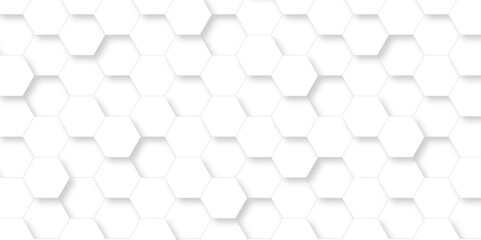 Fototapeta premium Background with white and black lines 3d Hexagonal structure futuristic white background and Embossed Hexagon , honeycomb white Background ,light and shadow ,Vector.