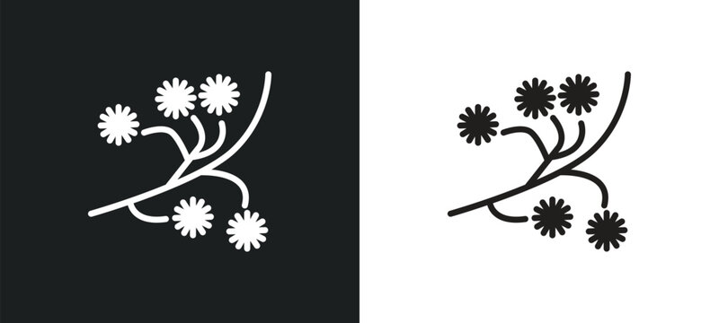mimosa outline icon in white and black colors. mimosa flat vector icon from nature collection for web, mobile apps and ui.