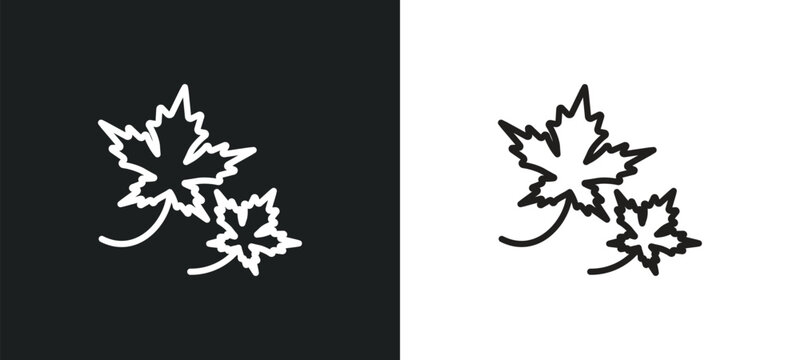 maple outline icon in white and black colors. maple flat vector icon from nature collection for web, mobile apps and ui.