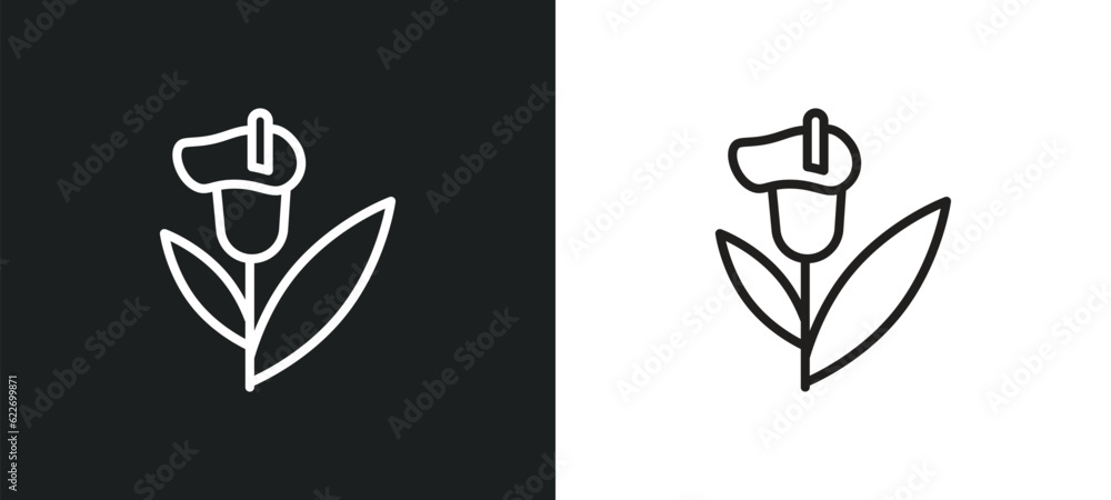 Poster calla outline icon in white and black colors. calla flat vector icon from nature collection for web,
