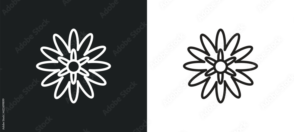 Poster aster outline icon in white and black colors. aster flat vector icon from nature collection for web,