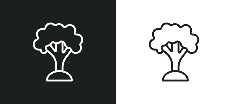 beech outline icon in white and black colors. beech flat vector icon from nature collection for web, mobile apps and ui.