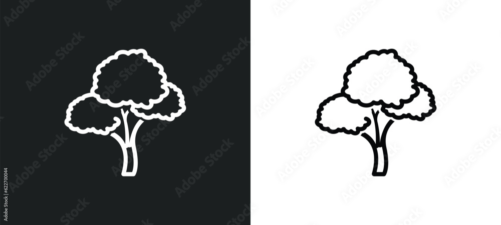 Poster bitternut hickory tree outline icon in white and black colors. bitternut hickory tree flat vector ic