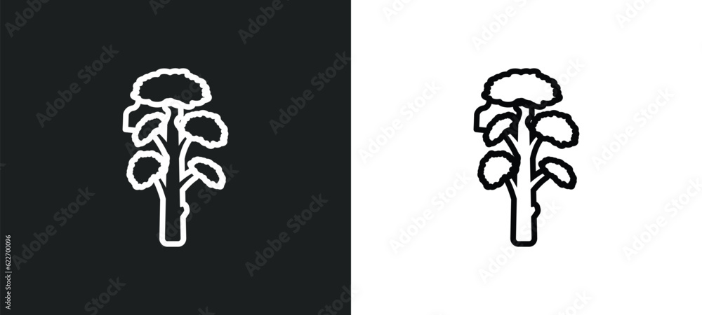 Poster slippery elm tree outline icon in white and black colors. slippery elm tree flat vector icon from na